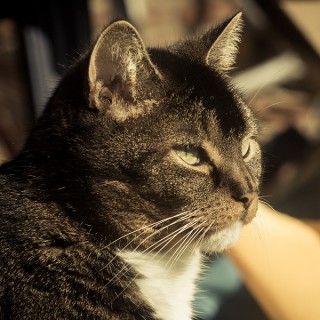 Lightroom 4 ist da