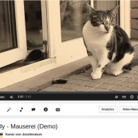 Nelly – Mauserei (Demo) – Video