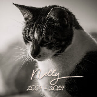 Abschied von Nelly